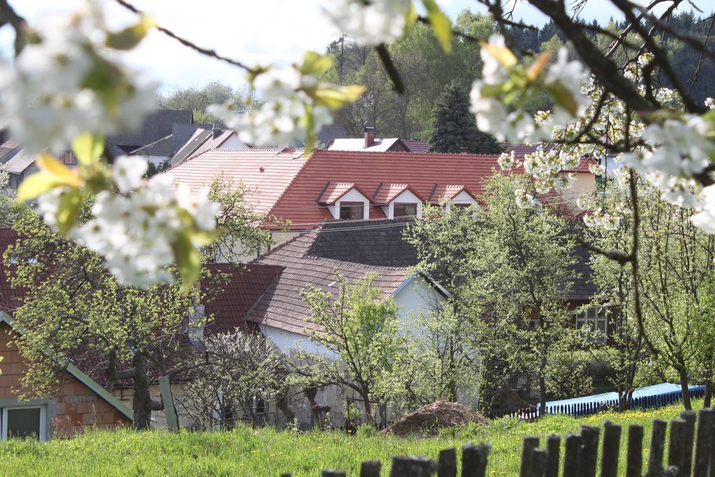 Penzion U Rudolfu Vlasenice Εξωτερικό φωτογραφία